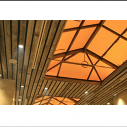 Acoustical and Specialty Ceilings