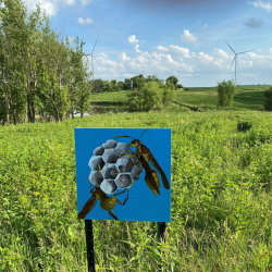 Prairie Art Exhibit