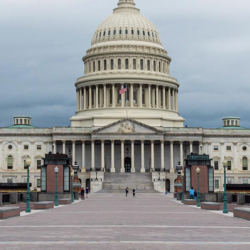 Government Relations