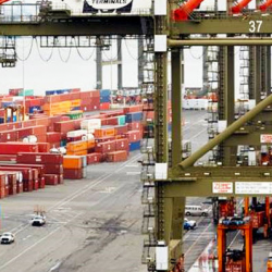 Export Information