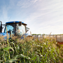 Agricultural, Chemical and Industrial Materials
