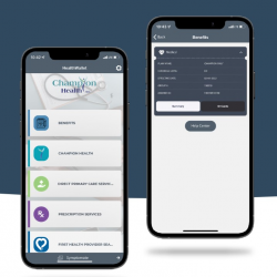 Employers: Health Management Plans