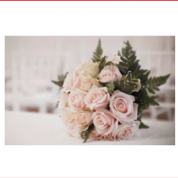 Wedding & Special Event Insurance