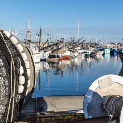 Fisherman's Terminal