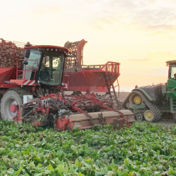 Farmowners Insurance