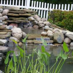 Water Features