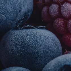 Frozen Fruit