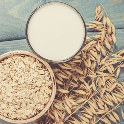 Plant-Based Ingredients