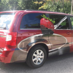 Vehicle Wraps and Graphics