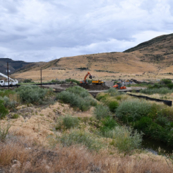 Land & Natural Resources Department