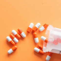 Prescription Services