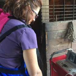 Comprehensive Equine Care Services