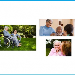 Dementiawise Program