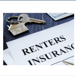 Renter's Insurance