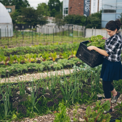 Diversified Farming and Food Systems