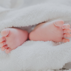 Newborn Screening Follow-Up Services