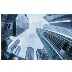S Corporation