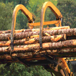 Timber & Logging Insurance