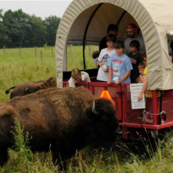 Ranch Tours