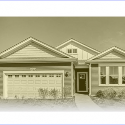 Single Family 