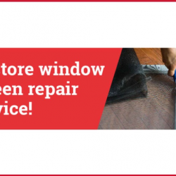 Window and Screen Repair