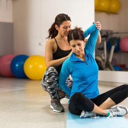 Therapeutic Exercise