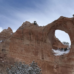 Navajo Nation Council (Legislative Branch)