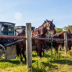 Amish Culture