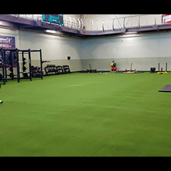 Functional Training Turf