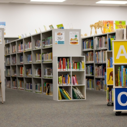 Friends of The Greenfield Public Library