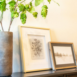 Full Service Design & Project Management