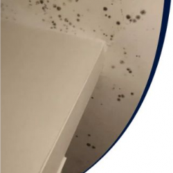 Residential Mold Remediation