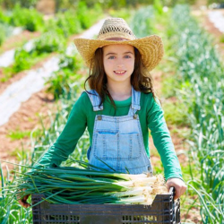 Gardening