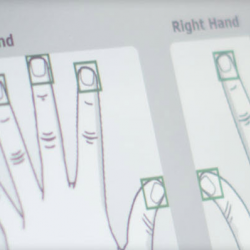 Digital Fingerprinting