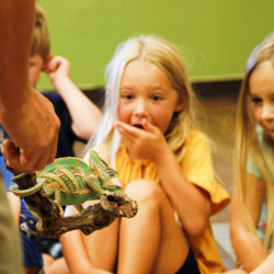 Childcare 