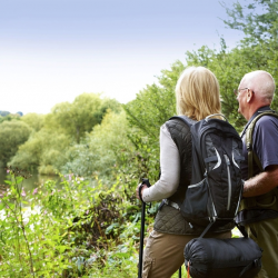 Estate, Charitable Giving & Trust