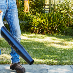 Blowers & Shredder Vacs