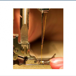 Renee's Western Renovations