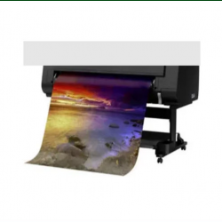 Canvas Prints