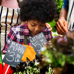 Nutrition Education