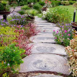 Petrified Wood Path