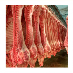 Hog Slaughter & Processing