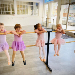 Enroll in Classes