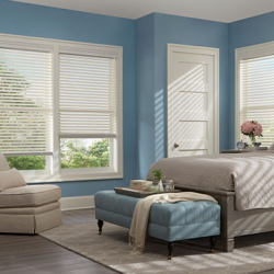 Window Blinds
