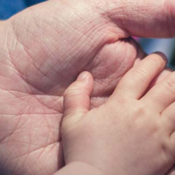 Early Childhood Development