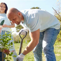 Civic Responsibilities
