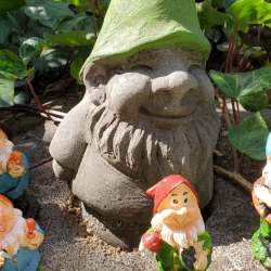 Gnome Hunt