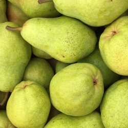 Pears
