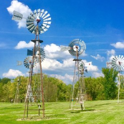 Guided & Group Tours 