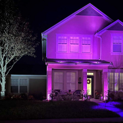 Landscape Lighting